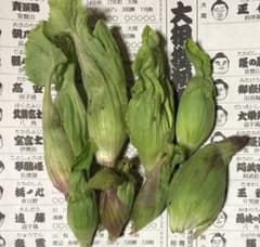 ふきのとう(すべてツボミの蕗の薹です)のサムネイル
