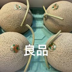 最安値!!!! 北海道赤肉メロン 新篠津ルピアレッド 良品4玉8キロ 最安値!!!! 北海道赤肉メロン 新篠津ルピアレッド 良品4玉8キロ - メルカリ