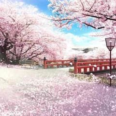 刹那様専用のサムネイル