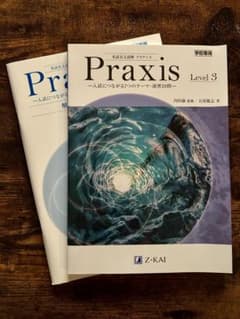 Praxis Level 3 英語長文読解 Z会のサムネイル