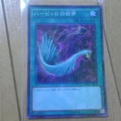 ハーピィの羽根帚のサムネイル