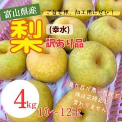 富山県産 幸水梨 訳あり品 4kg 10〜12玉のサムネイル