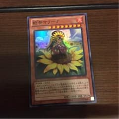 姫葵マリーナのサムネイル
