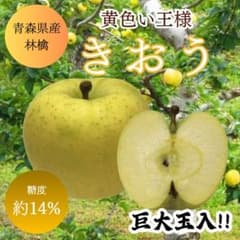 ★期間限定★青森県産 きおう りんご 巨大玉入 贈答用（金特選） 6~8玉 ㉔のサムネイル