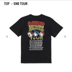 Hi-STANDARD Screaming Newborn Baby Tour - メルカリ