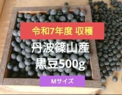 令和7年度収穫　丹波篠山産 黒豆 500g Mサイズのサムネイル