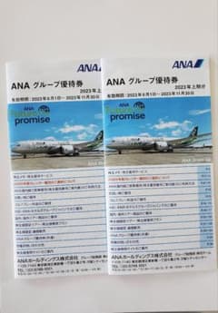 ANAグループ優待券のサムネイル