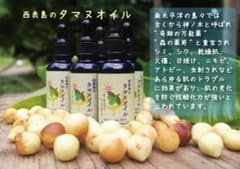 西表島のタマヌオイルのサムネイル
