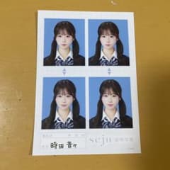 時田音々 seju 証明写真 m50801026717_1.jpg?1780579721