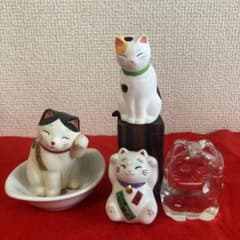 色々な猫さんたち集合✌︎('ω'✌︎ )のサムネイル