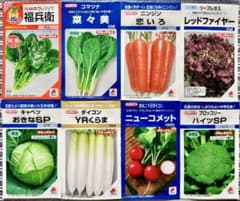 野菜の種【タキイ】今〜夏秋◇美味しいオススメ8種類セットのサムネイル