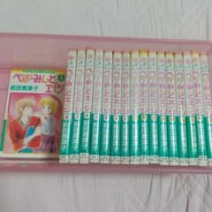 ぺぱーみんとエイジ 前田恵津子 全17巻セット 小学館フラワー