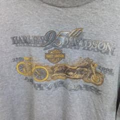 90s Harley-Davidson 95周年 ハーレー Tシャツ USA製のサムネイル