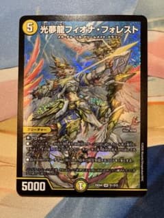 光夢龍フィオナフォレストのサムネイル