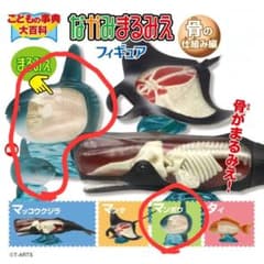【新品未使用】なかみまるみえフィギュア　マンボウ　ガチャガチャのサムネイル