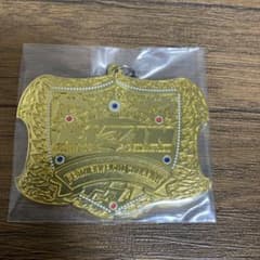 이치 반 쿠지 RIZIN 챔피언 벨트 메탈 매력 페더급 미개봉