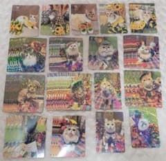 猫カフェMOCHA 心斎橋 25夏 25秋 トレカのサムネイル