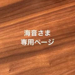 海音さま　専用ページのサムネイル