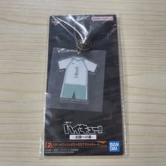 하이큐!! 아크릴 매력 오이카와 토오루