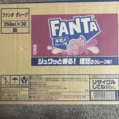 ファンタ グレープ 250ml×30本入のサムネイル