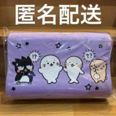 しろたん×はぴだんぶい　低反発まくら　ばつ丸　サンリオ