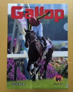 Gallop フェノーメノ クリアファイル 2013 天皇賞春 未使用非売品