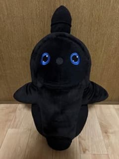 m50833907428_1.jpg?1707468133