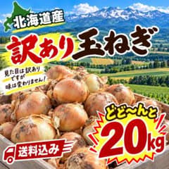 北海道産 農家直送 訳あり玉ねぎ 20kg 送料込み(箱込みの重さ)のサムネイル