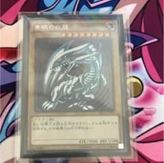 青眼の白龍 シークレットのサムネイル