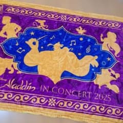 『アラジン』インコンサートVIP席　非売品　ハーフケットのサムネイル
