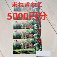 コシダカホールディングス 株主優待券 5000円分 コシダカ まねきねこ
