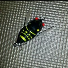 蝉ルアー4セットのサムネイル