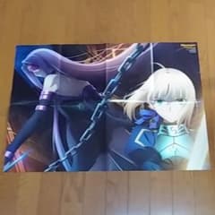 Fate 포스터