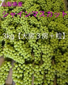 야마나시 현산 샤인 무스카트 [역 있음]