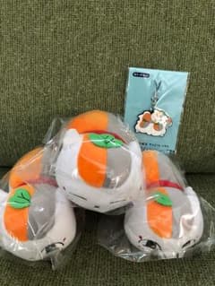 夏目友人帳 トリプルニャンコ先生&チャーム&おまけのサムネイル