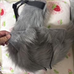 狐 尻尾 耳 グレーのサムネイル