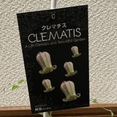 クレマチス 正規品・ラベル付き 綿雪 - メルカリ