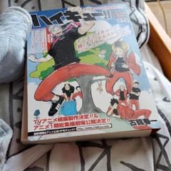 ハイキュー!!  15 DVD同梱版のサムネイル