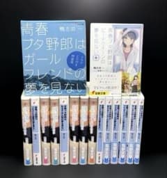 青春ブタ野郎シリーズ 1-15巻 14巻 特装版 + 短編集 全16冊 - メルカリ