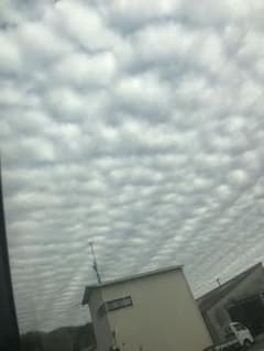 ゆりあ様専用のサムネイル