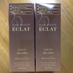ヘアボーテ エクラ ボタニカル エアカラーフォーム ダークブラウンのサムネイル