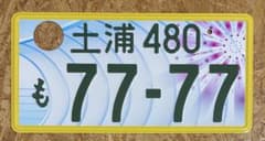49560826_2