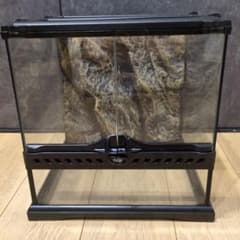 グラステラリウム30×30中型ガラス飼育ケージ メッシュ蓋付き - メルカリ