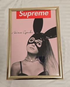 アリアナ × supreme アートポスターのサムネイル