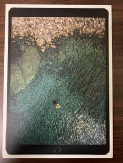 iPad pro 10.5 256GBのサムネイル