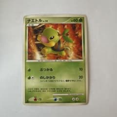 ポケモンカード ナエトル LV.14 001/013のサムネイル