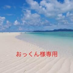 おっくん様専用のサムネイル