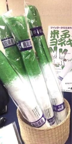 新品未使用］面白グッズハンドタオル　鳥取県米子市　名産白ネギのサムネイル