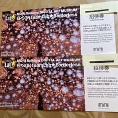 チームラボ teamLab☆Borderless麻布台ヒルズの招待券2枚セット
