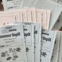 サピックス 夏期講習6年 国語 2025年分 - メルカリ